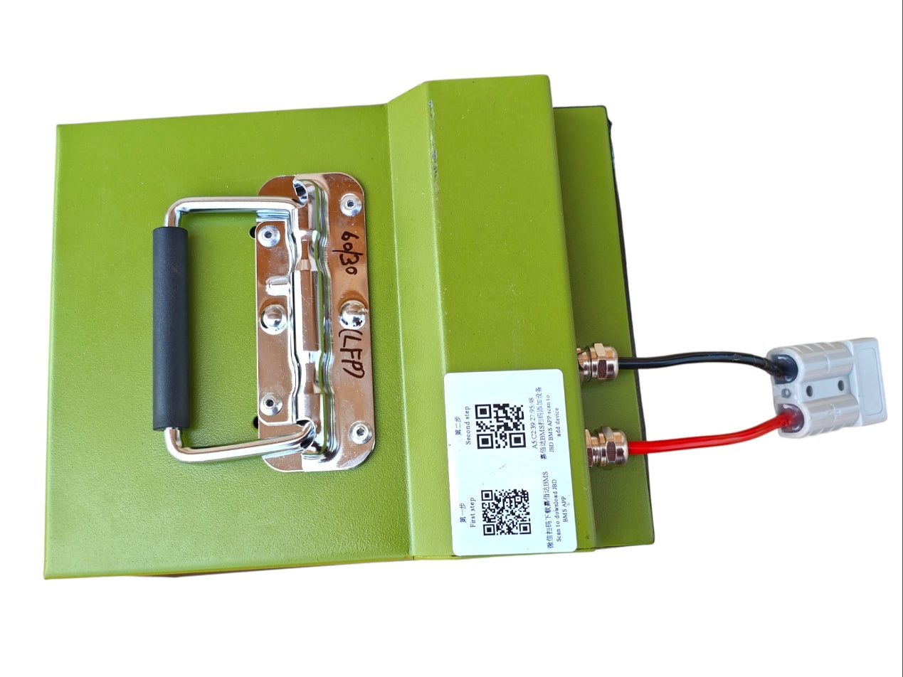 INS 60V 30Ah LFP Lithium Battery