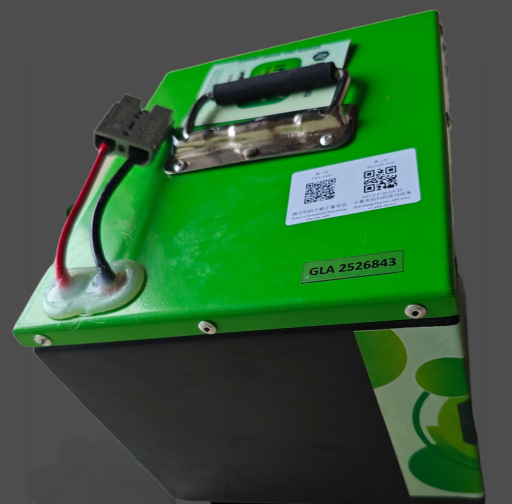 INS 60V 43Ah Lithium-Ion Battery